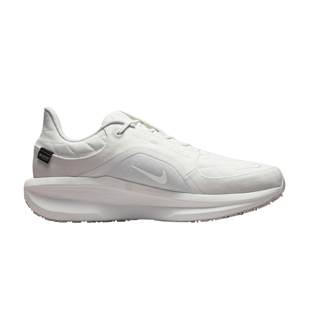 Nike Winflo 11 GORE-TEX 'White Photon Dust'