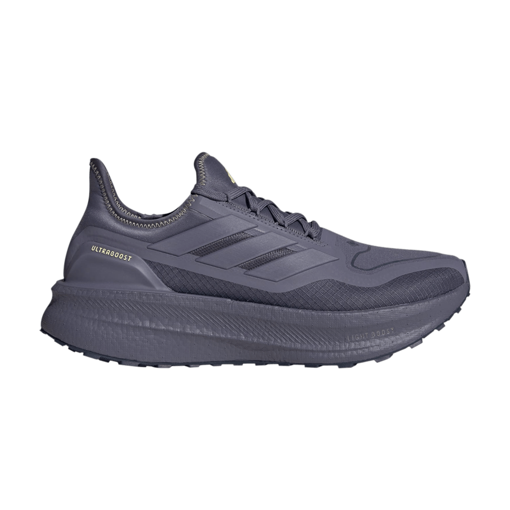Adidas Ultraboost 5 GOR-TEX 'Violet Shadow Navy'