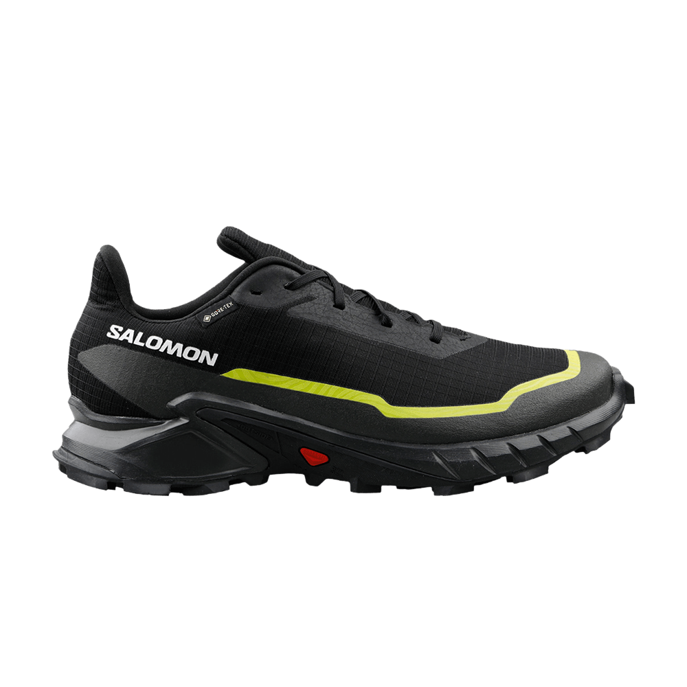 Buy Salomon Alphacross 5 GORE-TEX 'Olive Night Black' - L47310300