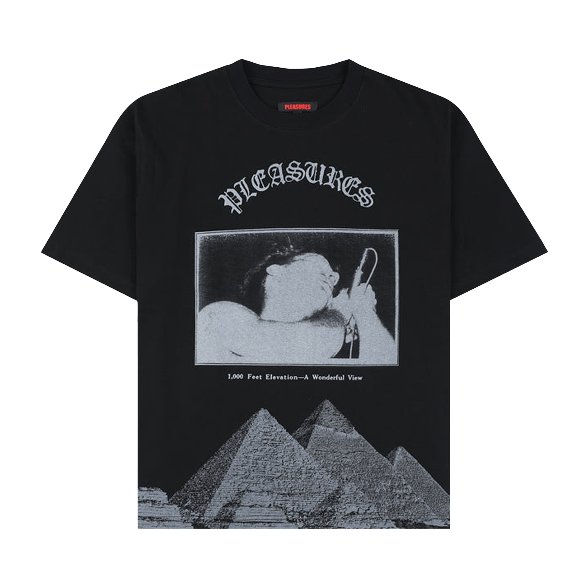 Pleasures Elevation Heavyweight Shirt 'Black'