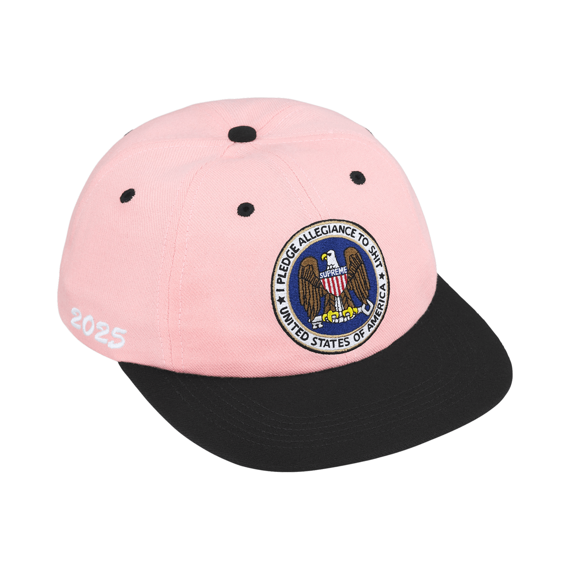 Supreme Pledge Allegiance 6-Panel 'Pink'