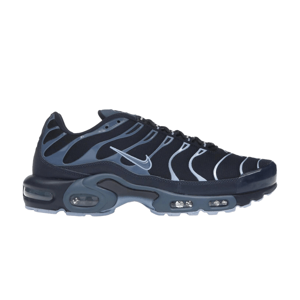 Nike Air Max Plus 'Obsidian Aluminum'