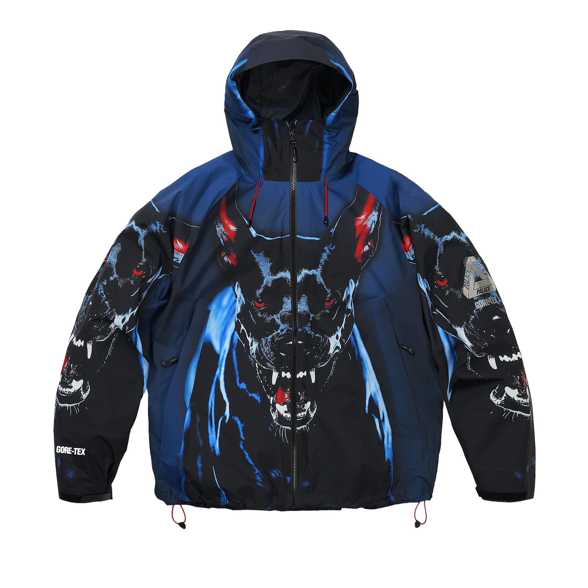 Palace GORE-TEX 2l P-Tek Jacket 'K-Nein Print'