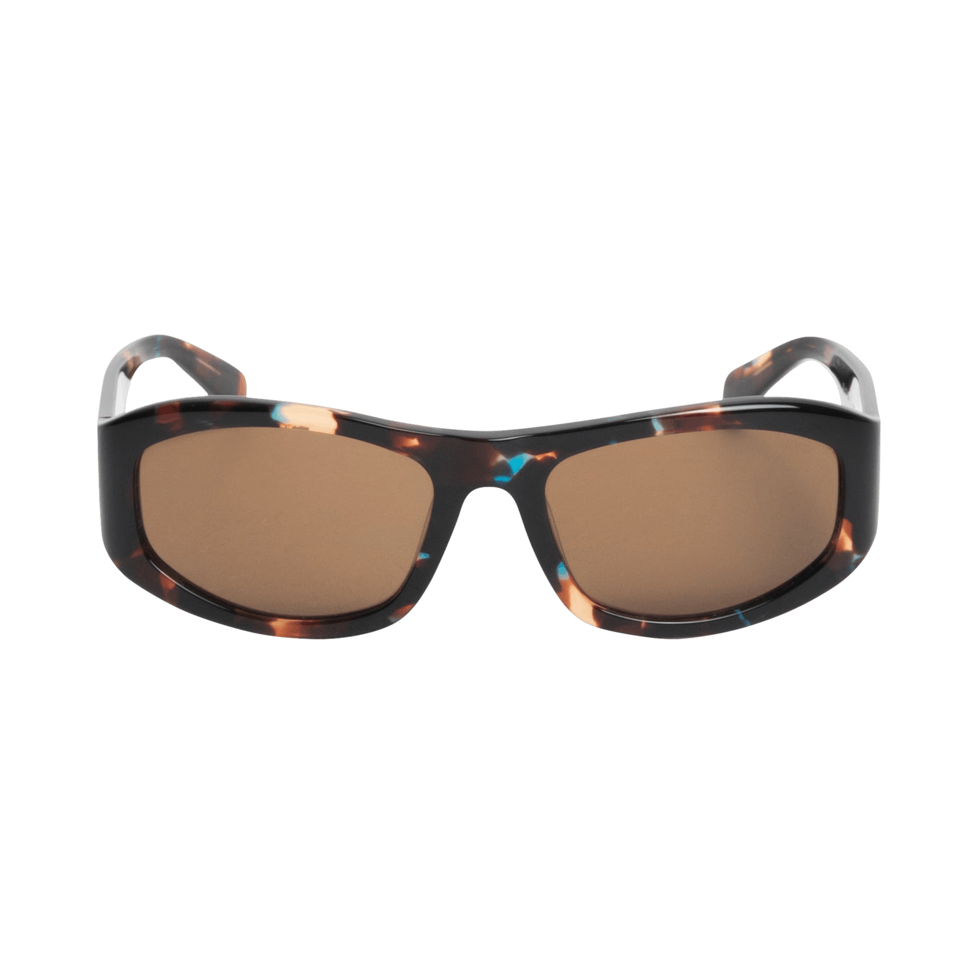 Stussy Landon Sunglasses 'Havana Tortoise/Brown Lens'