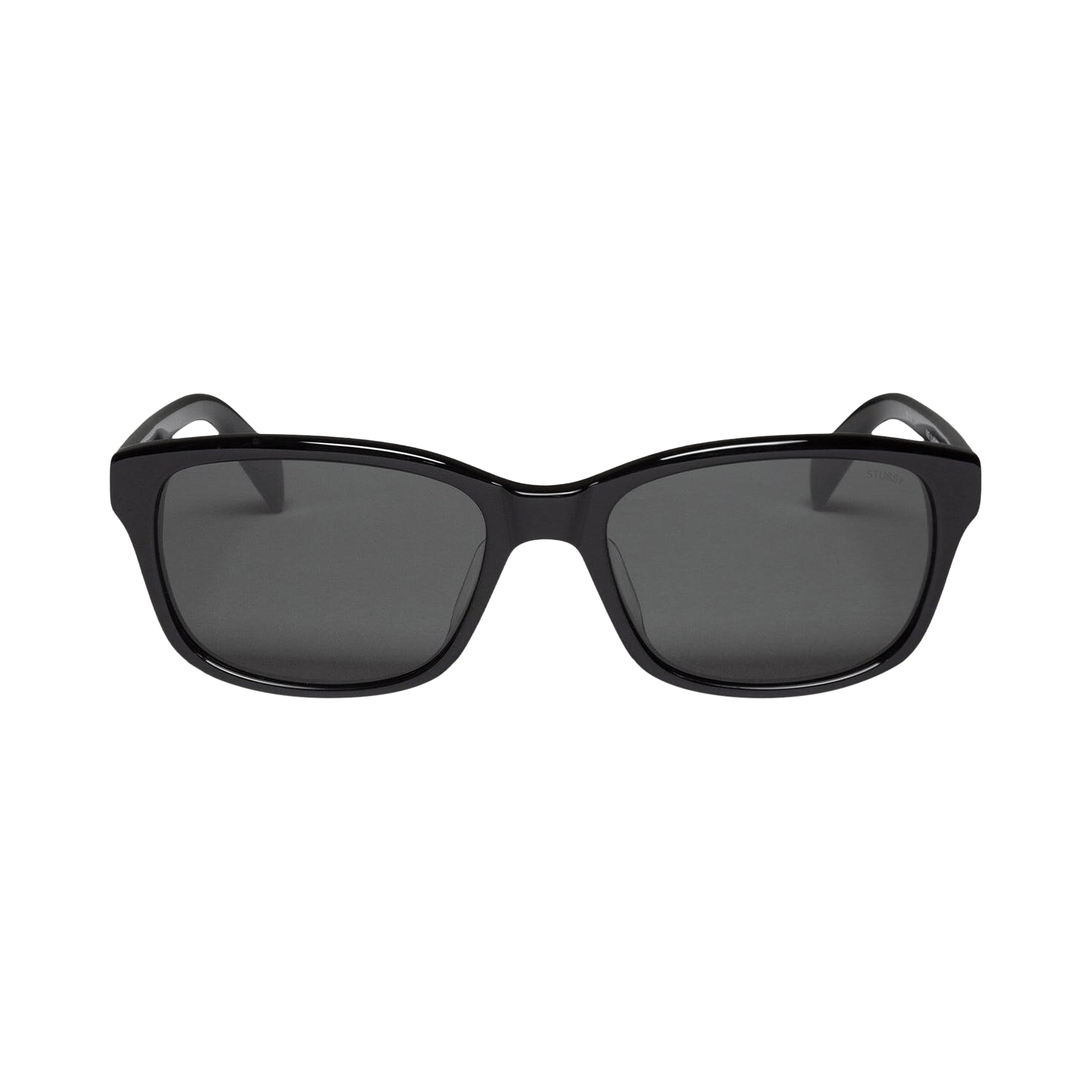 Stussy Alan Sunglasses 'Black/Black Lens'