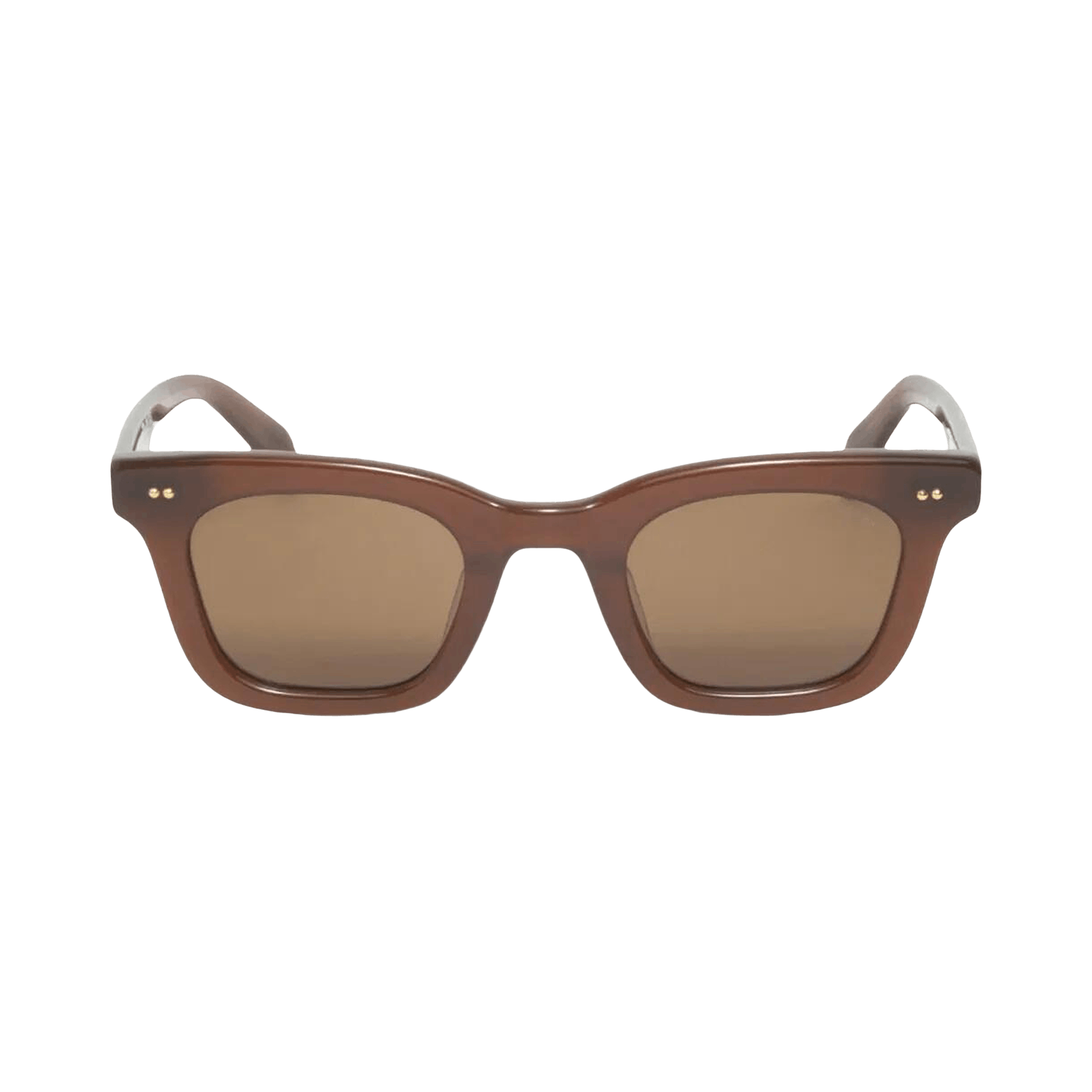 Stussy Ace Sunglasses 'Dark Brown/Brown Lens'