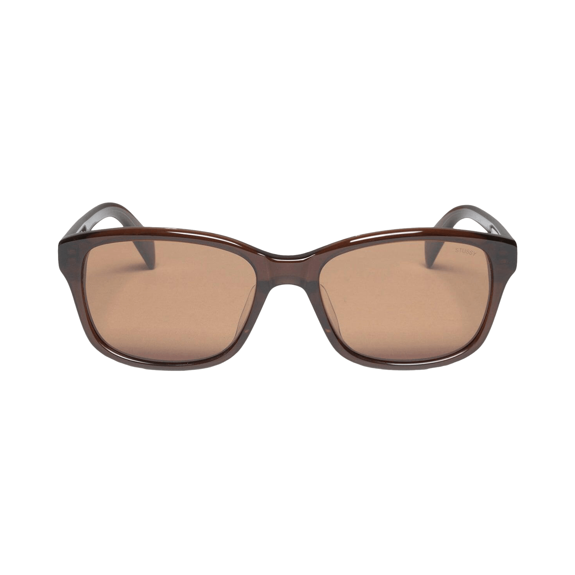 Stussy Alan Sunglasses 'Brown/Brown Lens'