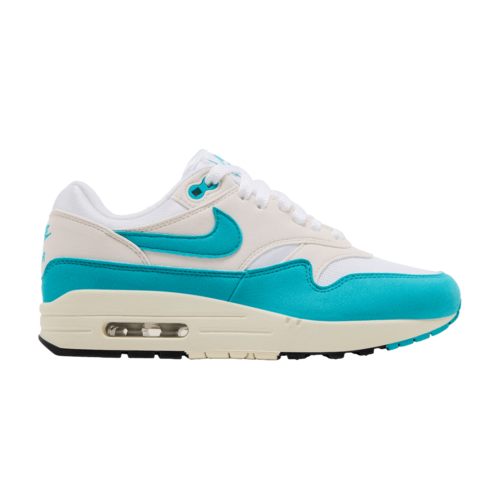 Nike Wmns Air Max 1 'Dusty Cactus'