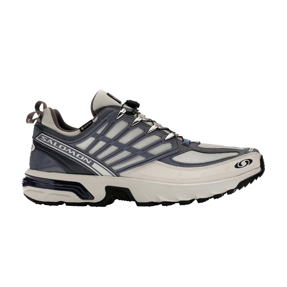 Salomon ACS Pro GORE-TEX 'Lunar Rock Grisaille'