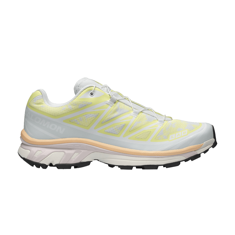 Salomon XT-6 'Alpen Blossom Ice Flow'
