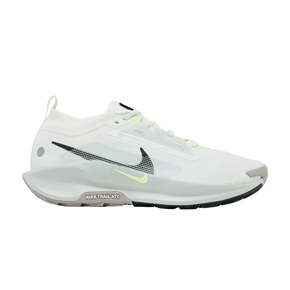 Nike Pegasus Trail 5 GORE-TEX 'Light Silver Sequoia'