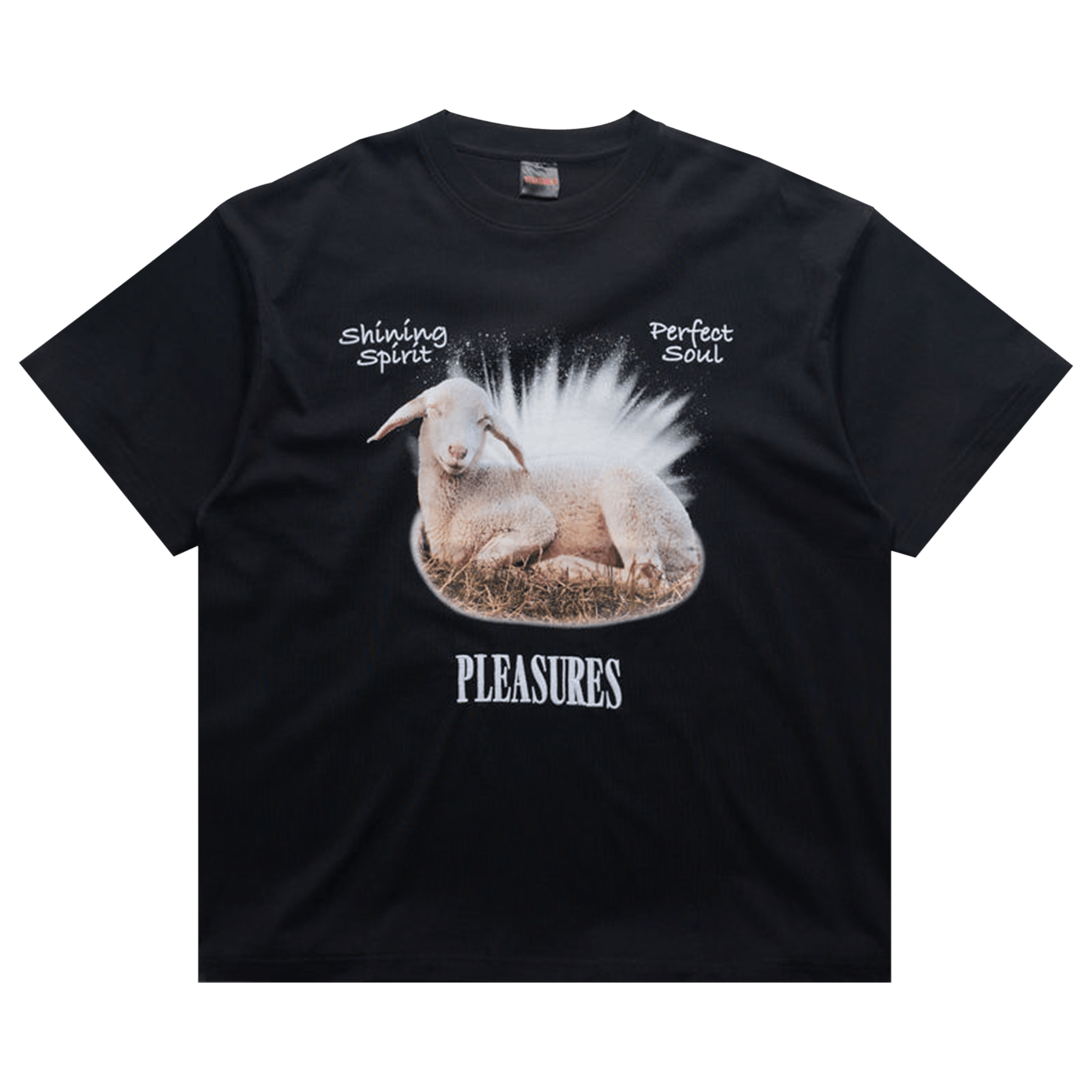 Pleasures Shine T-Shirt 'Black'