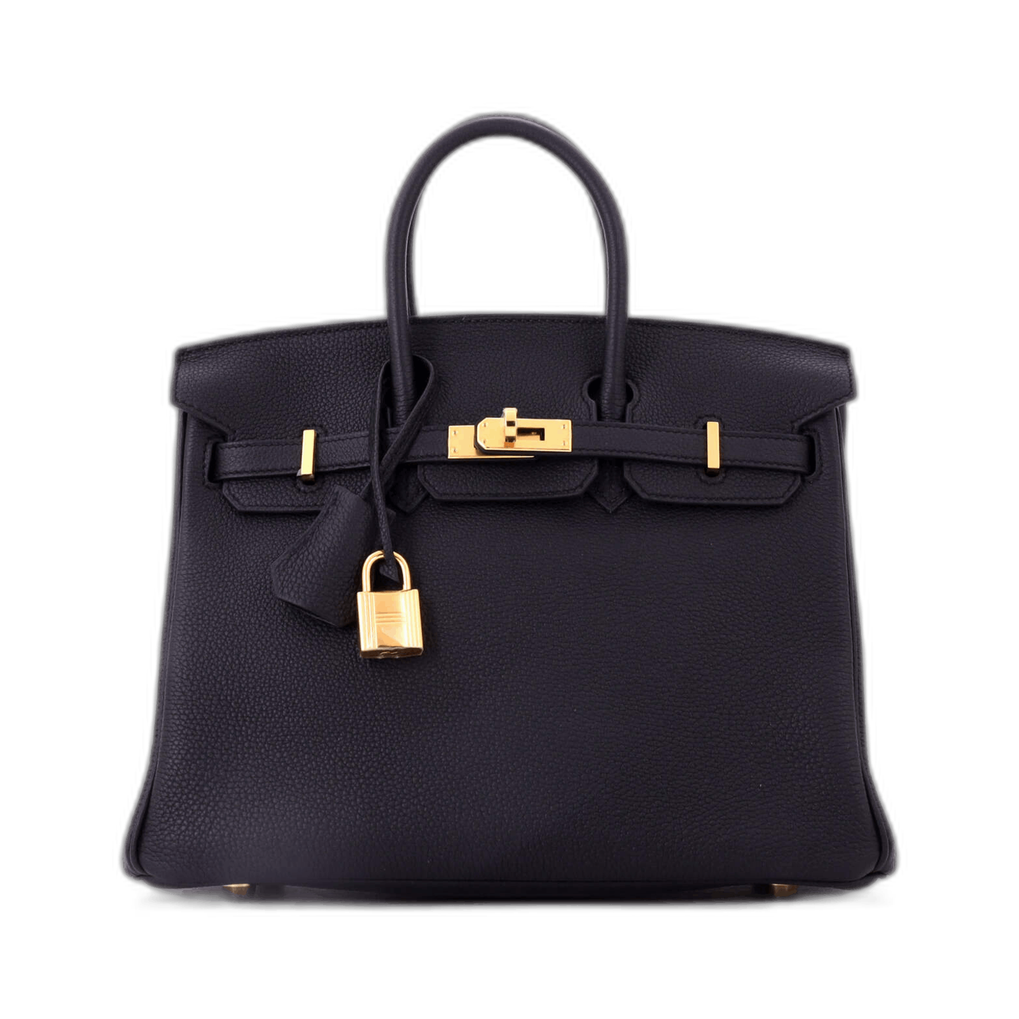 Birkin Birkin 25