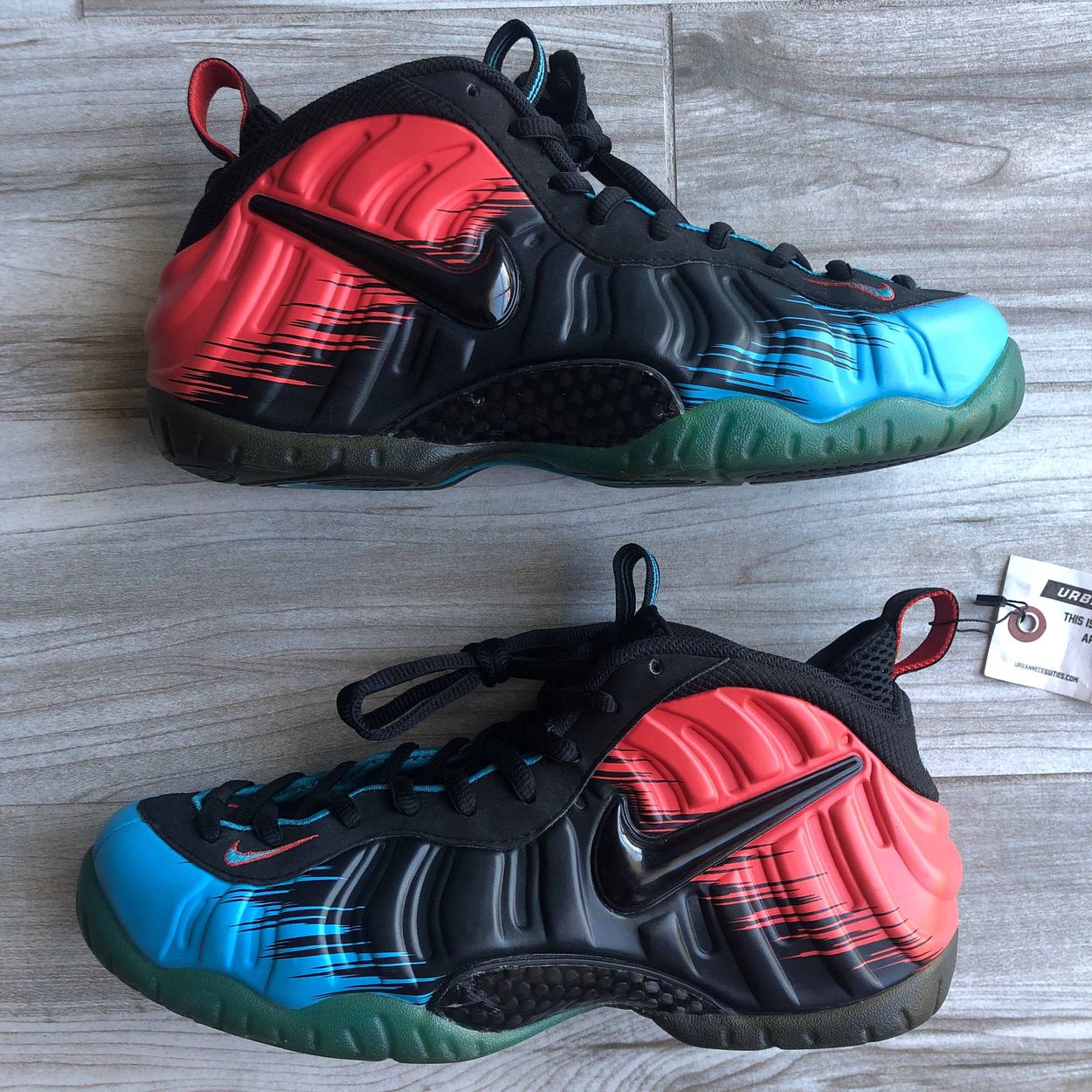 foamposite spider
