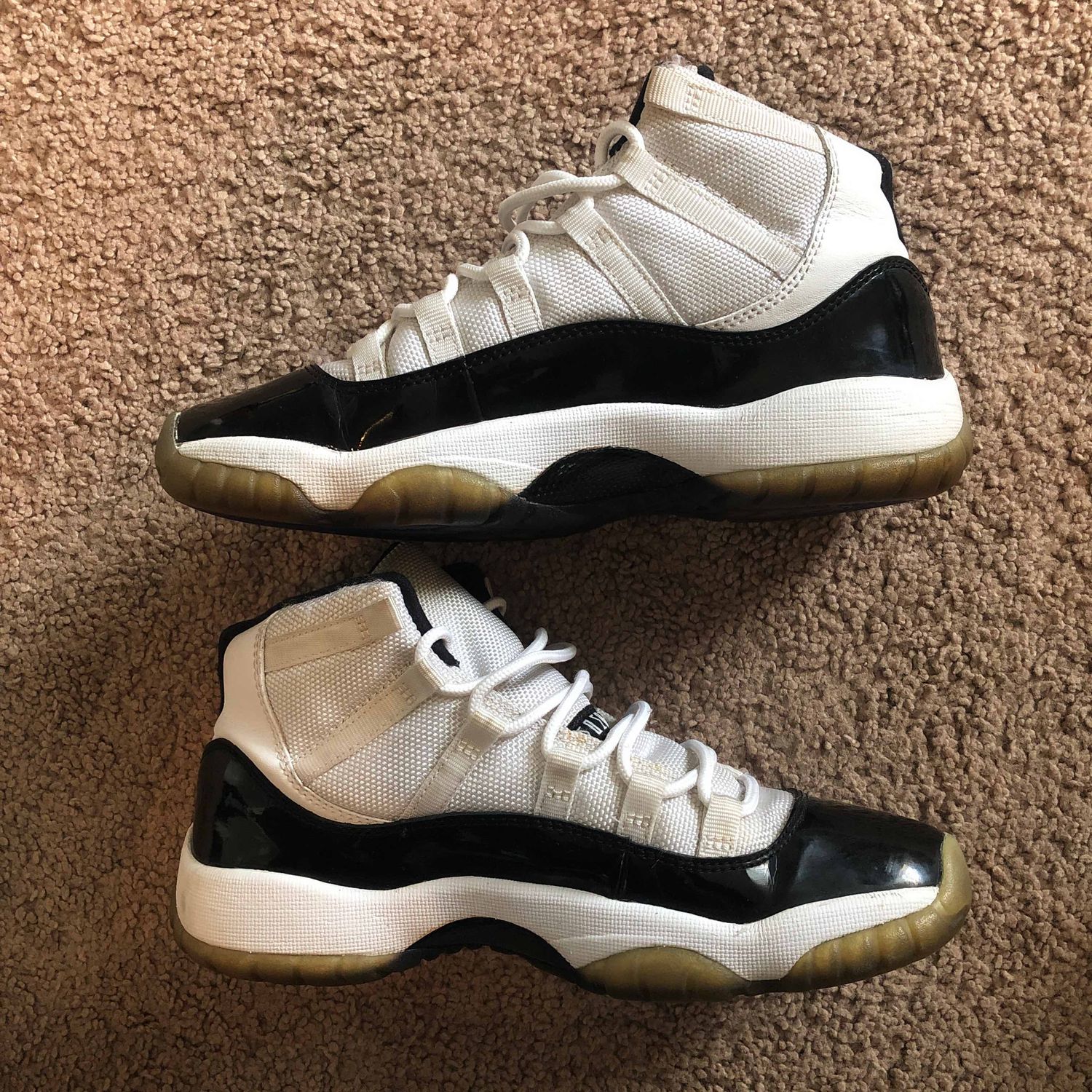jordan 11 concords goat