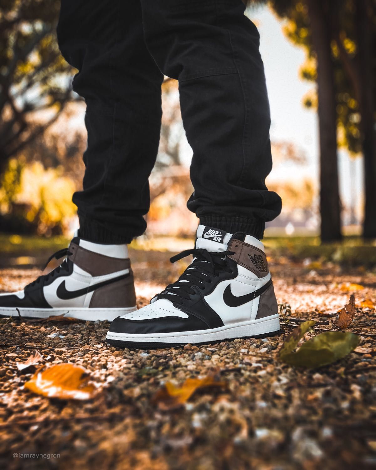 Nike Air Jordan Brown And White | ubicaciondepersonas.cdmx.gob.mx