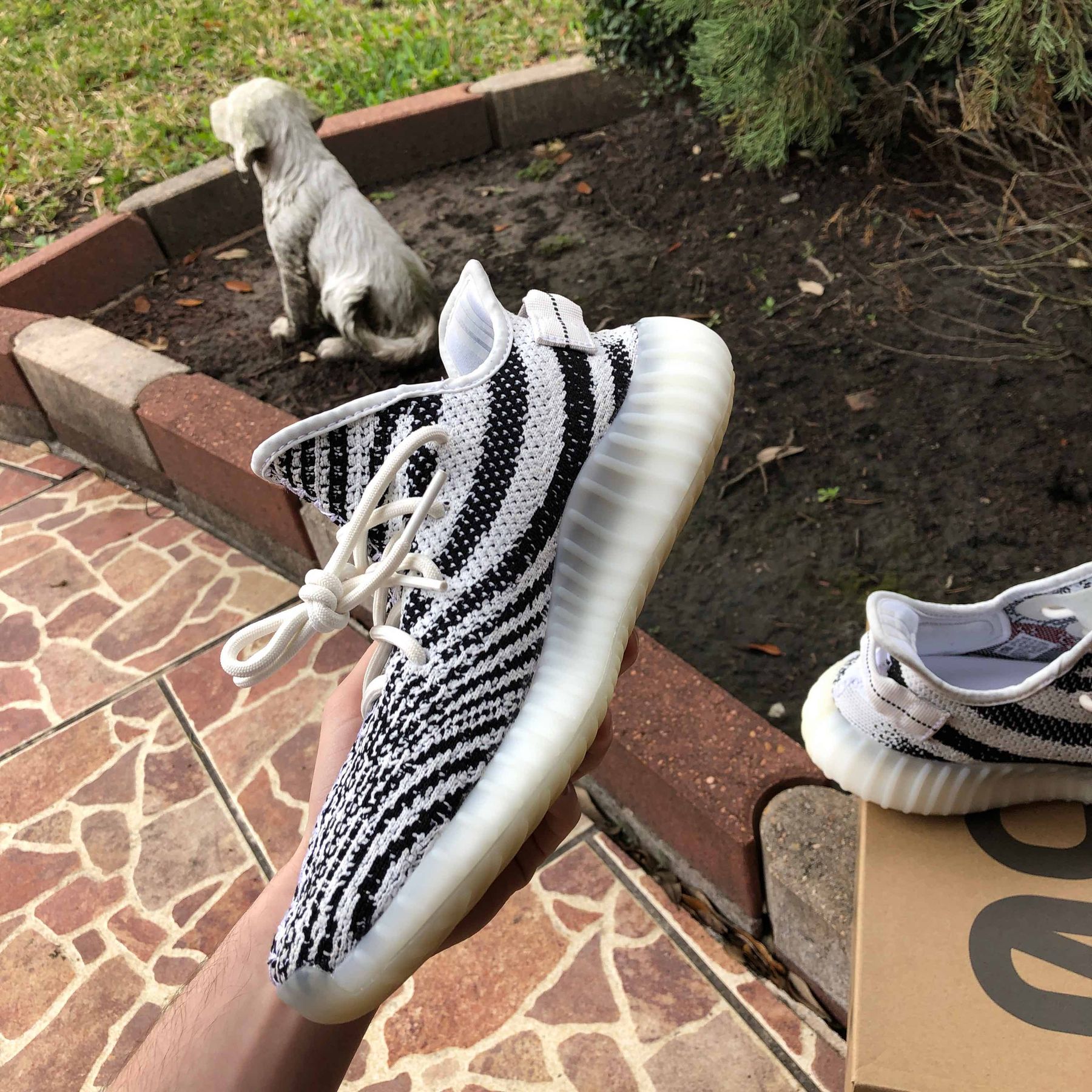 Yeezy Boost 350 V2 'Zebra' - adidas - CP9654 | GOAT