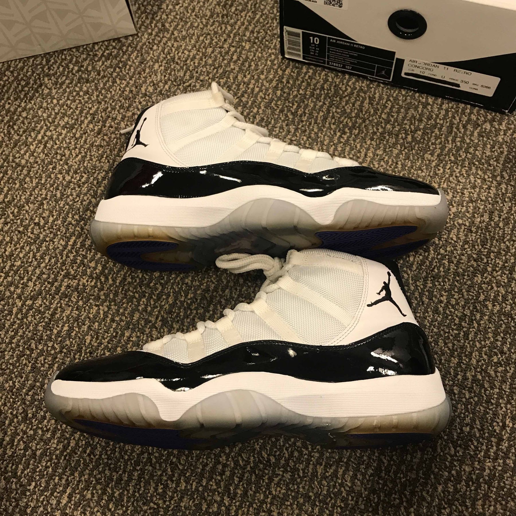 jordan 11 concords goat