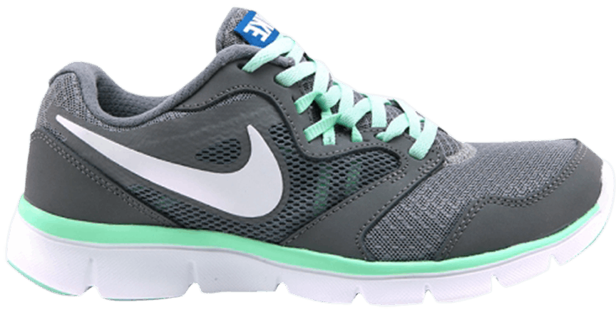 nike wmns flex experience