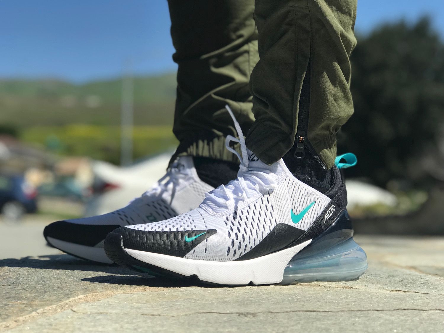 cactus air max 270
