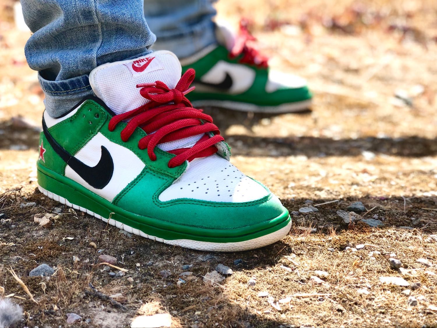 Dunk Low Pro SB 'Heineken' - Nike - 304292 302 | GOAT
