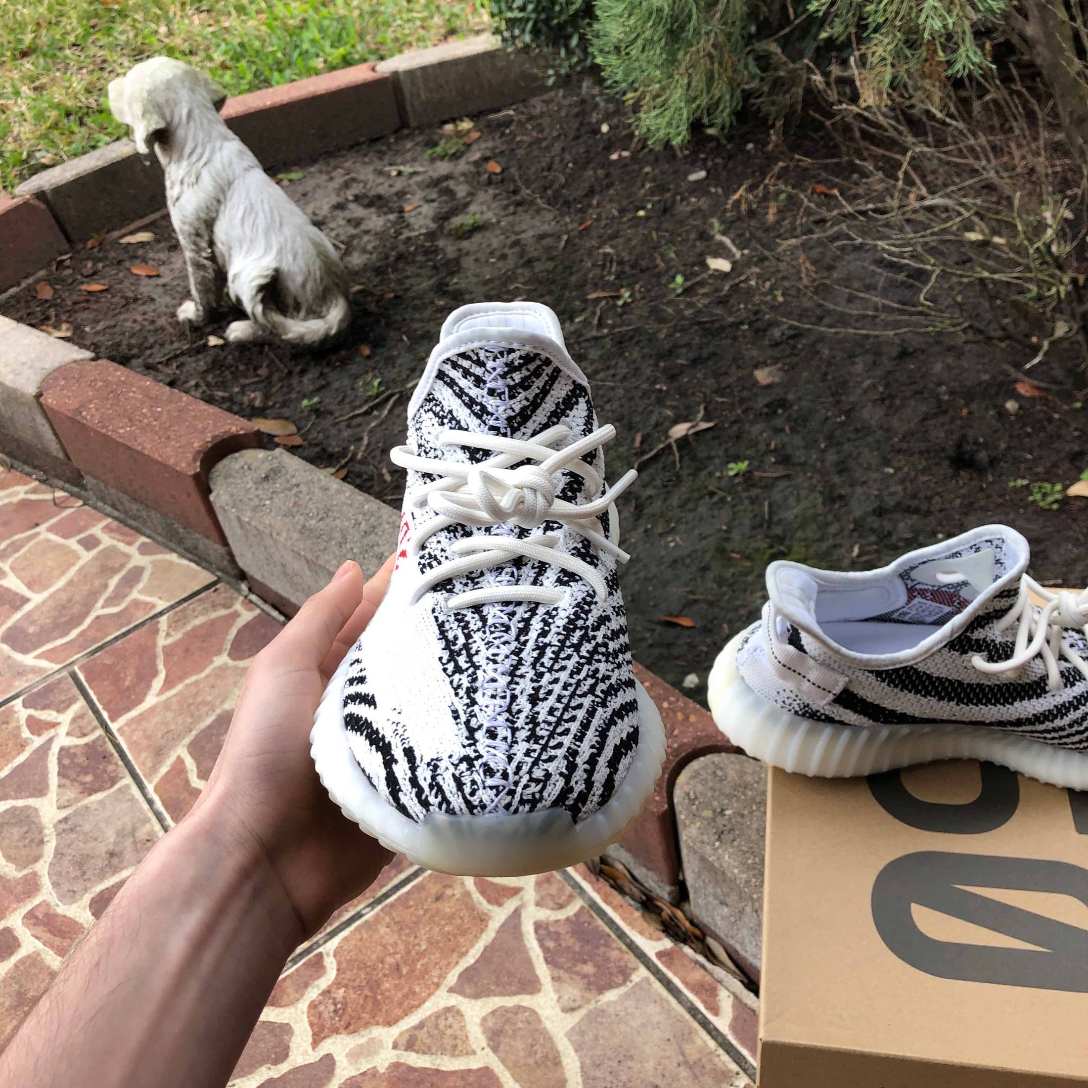 Yeezy Boost 350 V2 'Zebra' - adidas - CP9654 | GOAT
