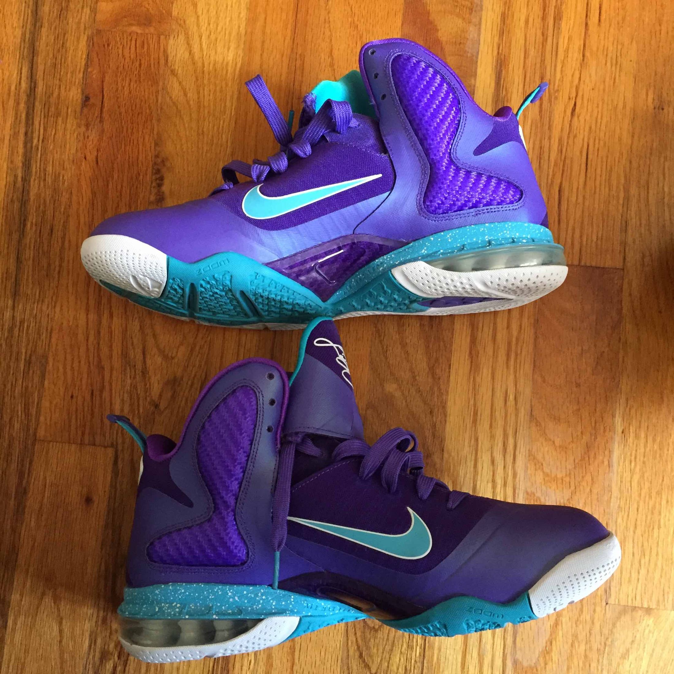 lebron 9 hornets low