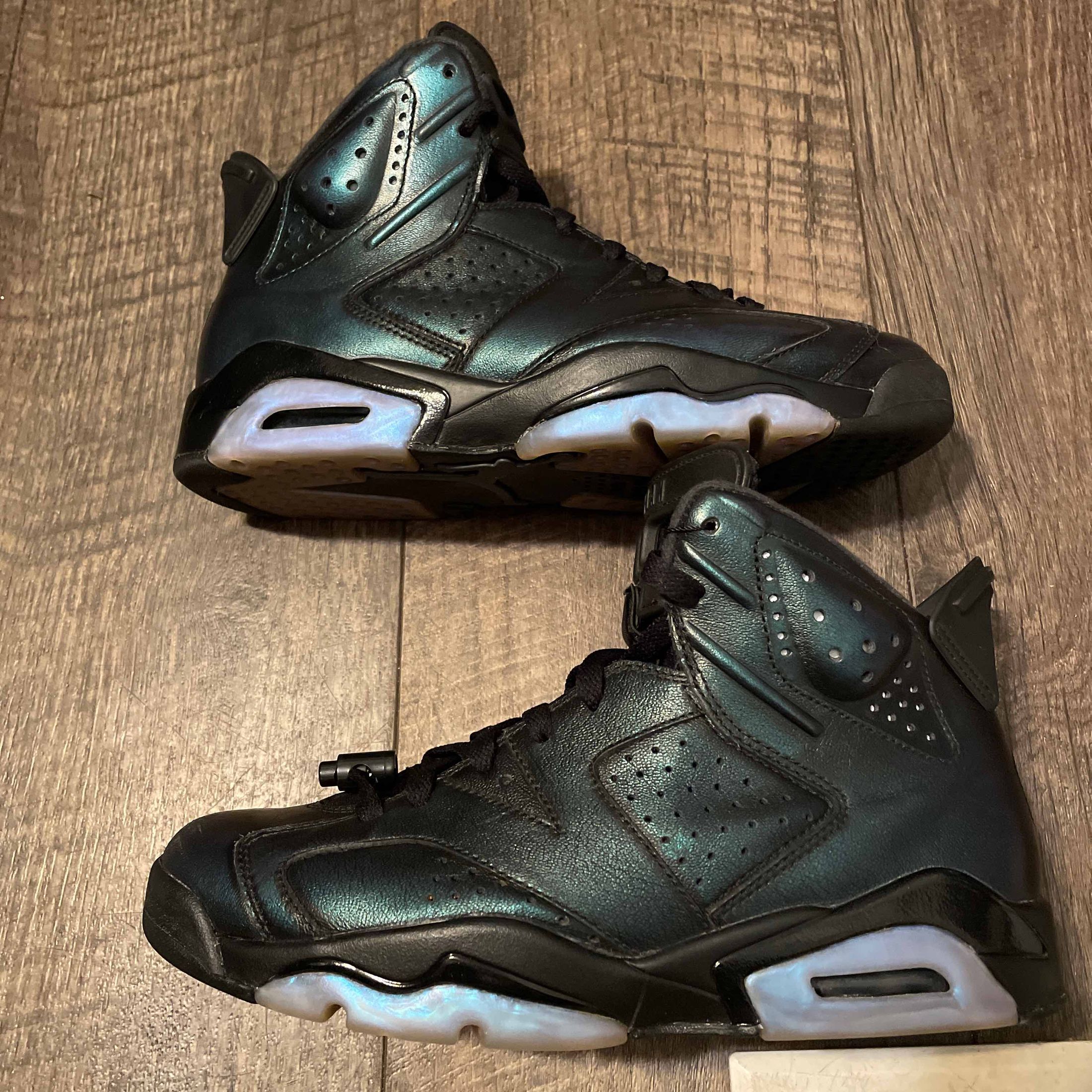 retro 6 chameleon