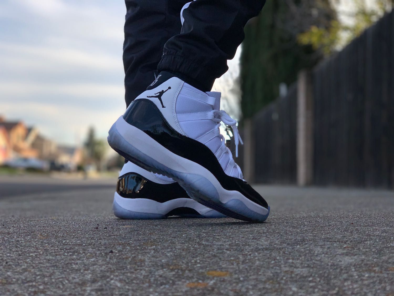 concord 11s goat