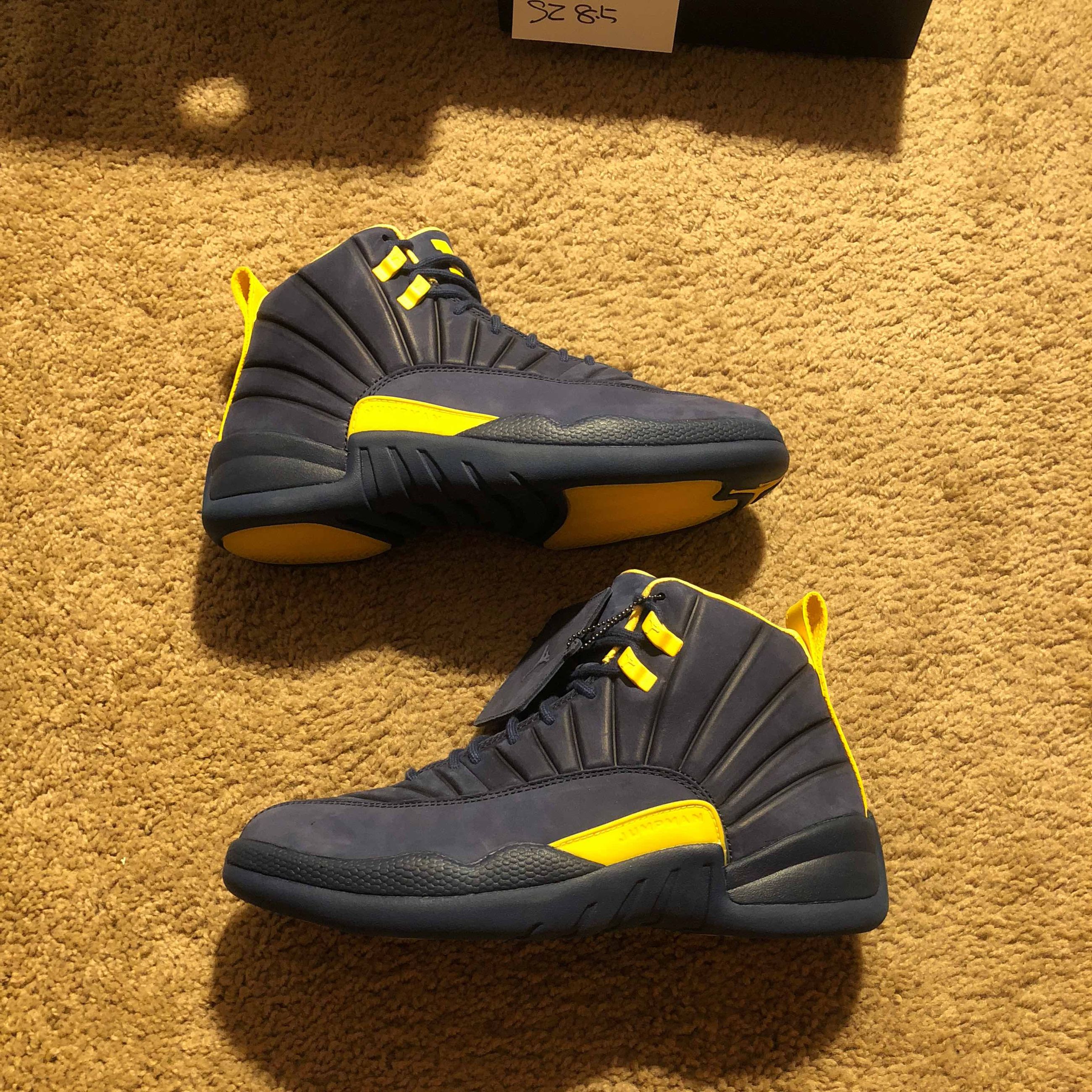 psny jordan 12 michigan