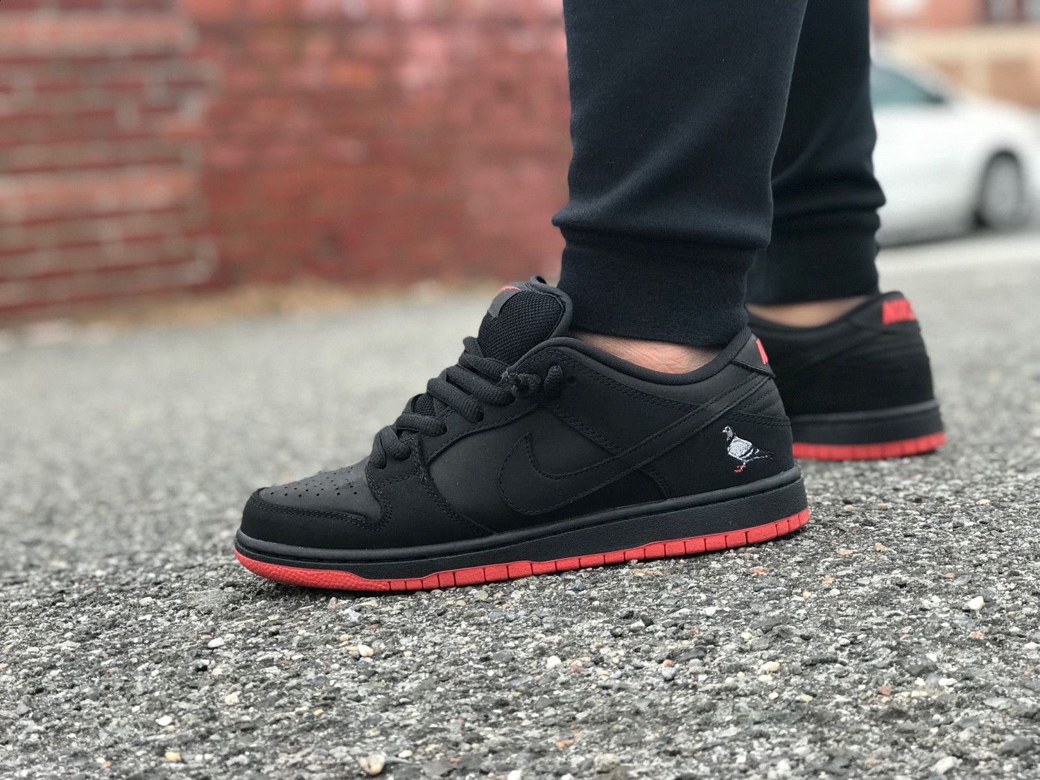 nike sb dunk black pigeon