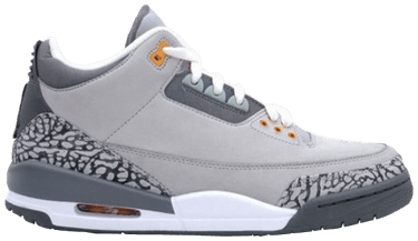 jordan 3 2006