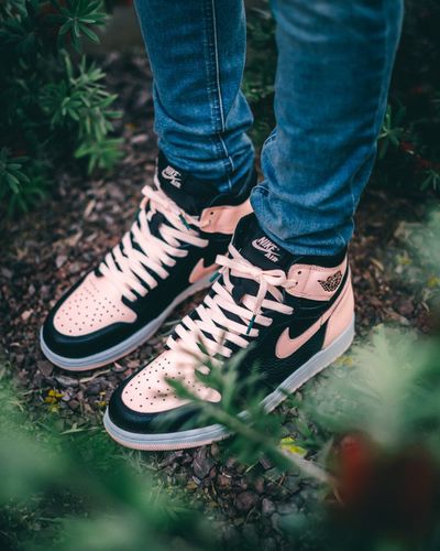 crimson tint jordan 1 goat