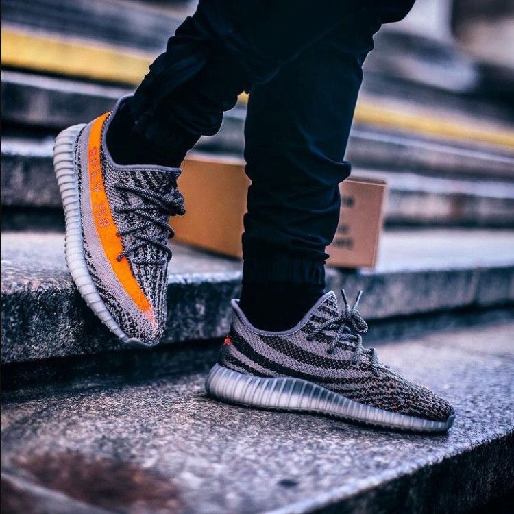 beluga adidas