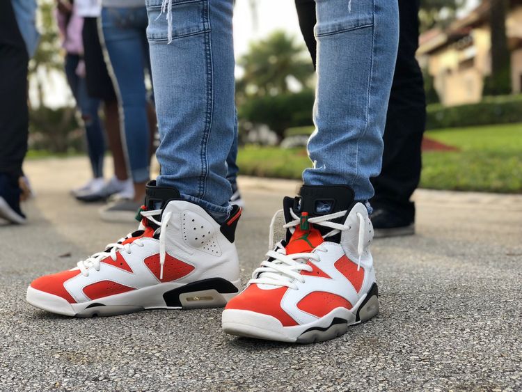 jordan 6 gatorade on feet