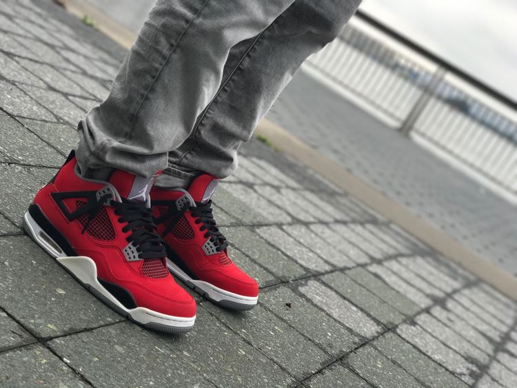 jordan 4 toro bravo on feet