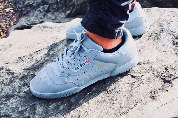 adidas calabasas grey