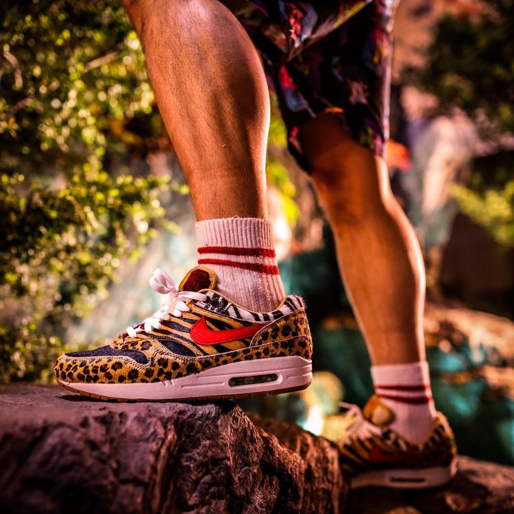 atmos animal pack air max 1
