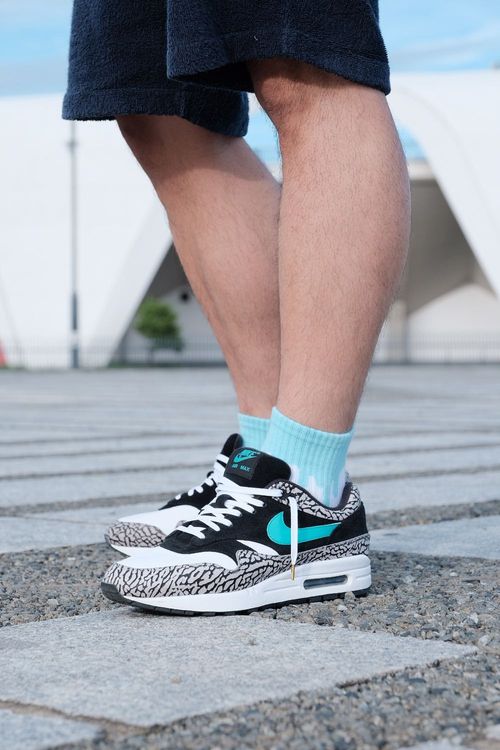 air max 1 atmos elephant on feet