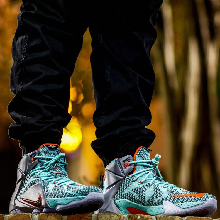 lebron 12 on feet