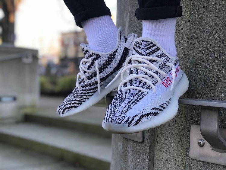 zebra yeezys goat