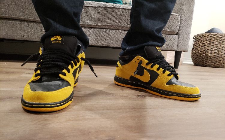 sb dunk low iowa