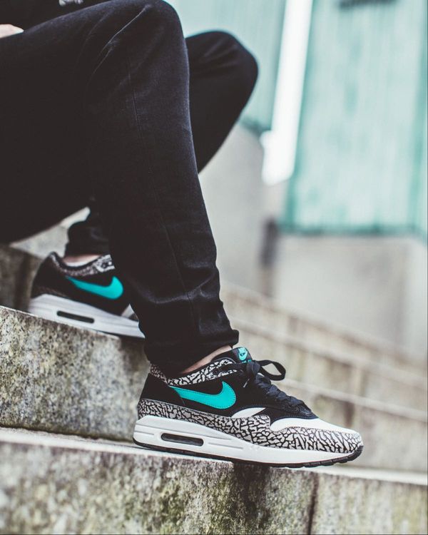 air max 1 elephant price