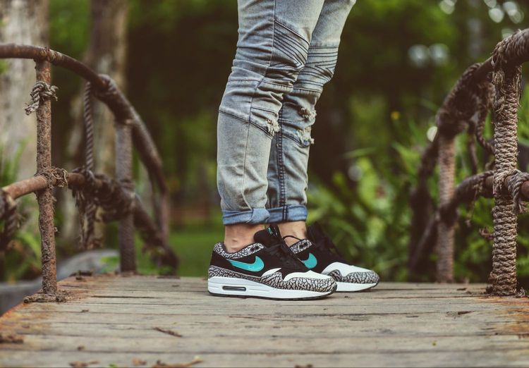 air max 1 atmos elephant on feet