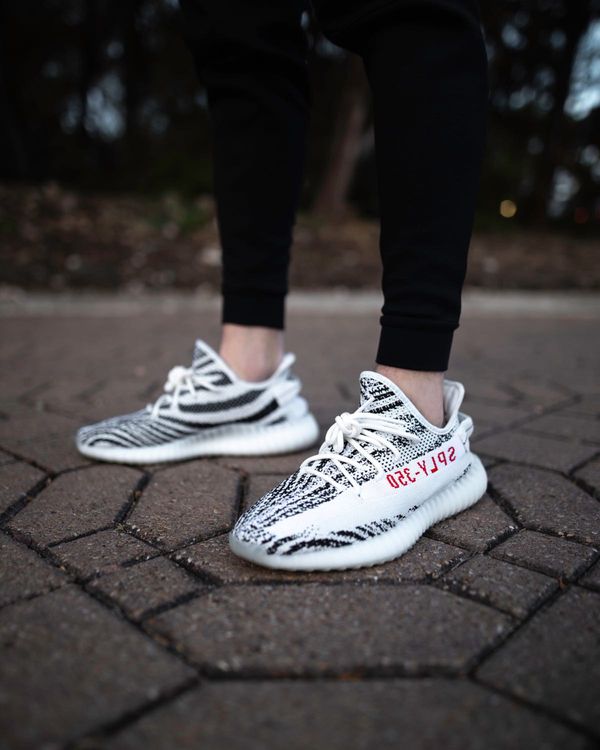 zebra yeezys goat