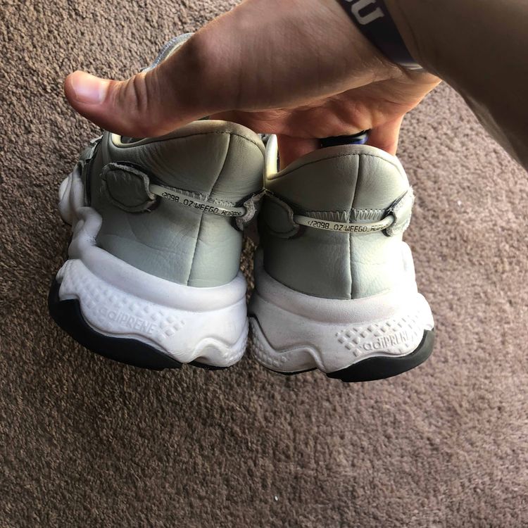 Adidas Ozweego (EE7005) No Box!