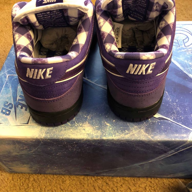 nike sb lobster special box