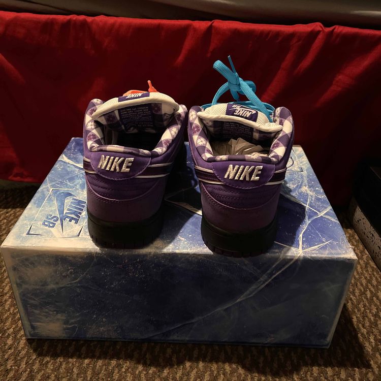 nike sb lobster special box