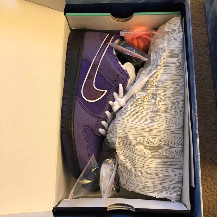 nike sb lobster special box