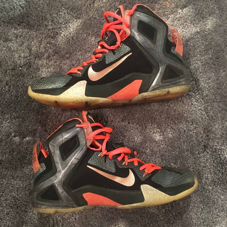 lebron shoes with rose